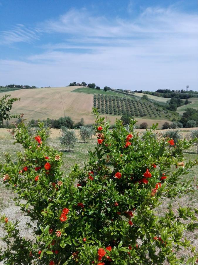 Belvedere Ostrense Il Giardino Nella Valle מראה חיצוני תמונה
