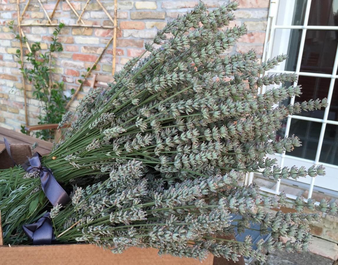 Belvedere Ostrense Il Giardino Nella Valle מראה חיצוני תמונה