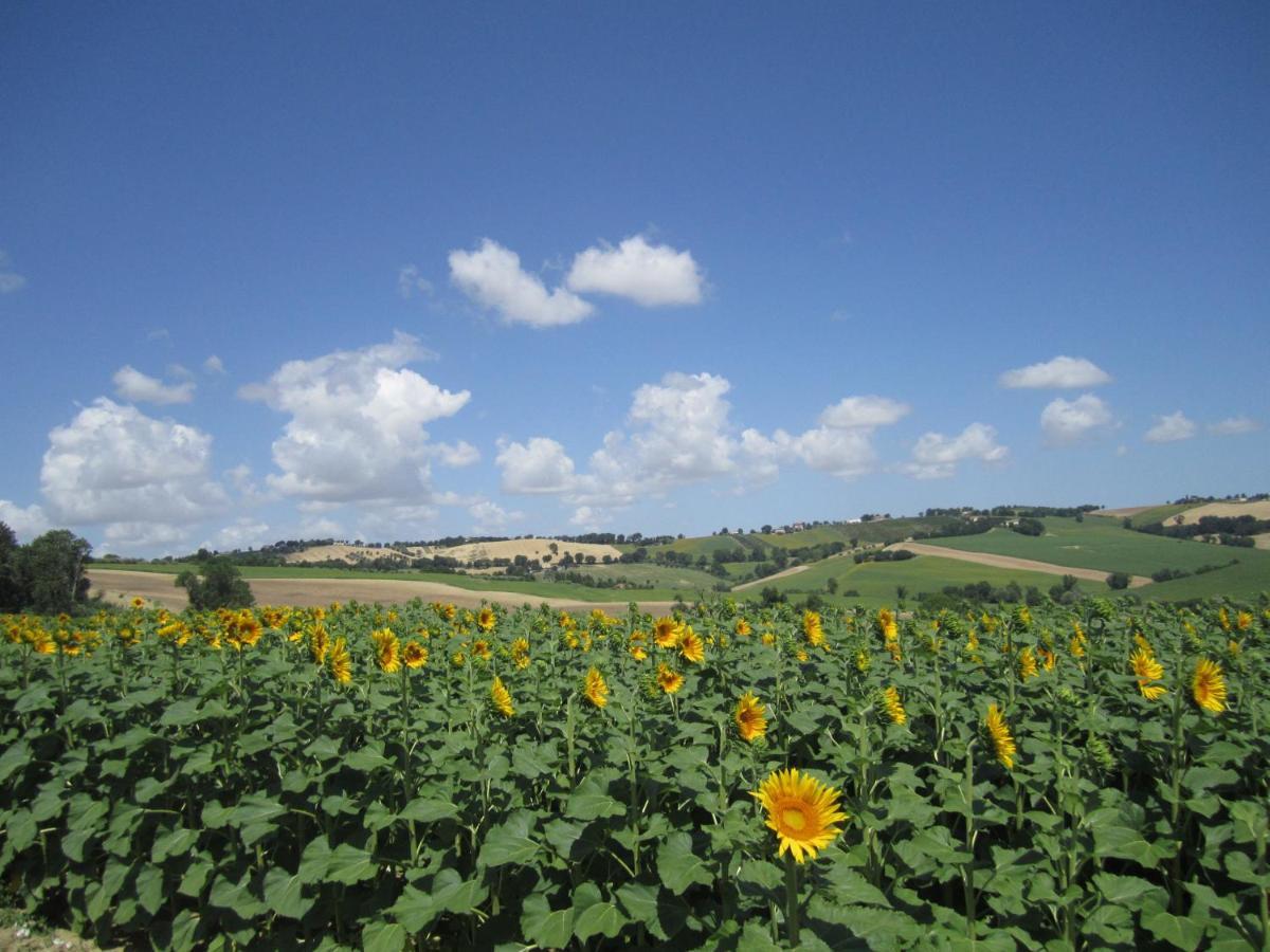 Belvedere Ostrense Il Giardino Nella Valle מראה חיצוני תמונה