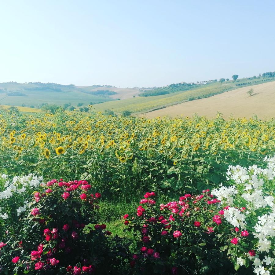 Belvedere Ostrense Il Giardino Nella Valle מראה חיצוני תמונה