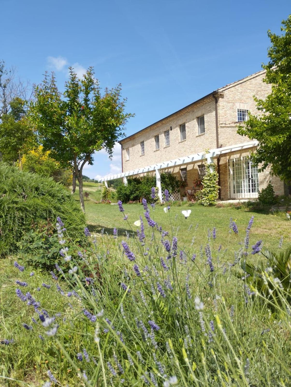 Belvedere Ostrense Il Giardino Nella Valle חדר תמונה