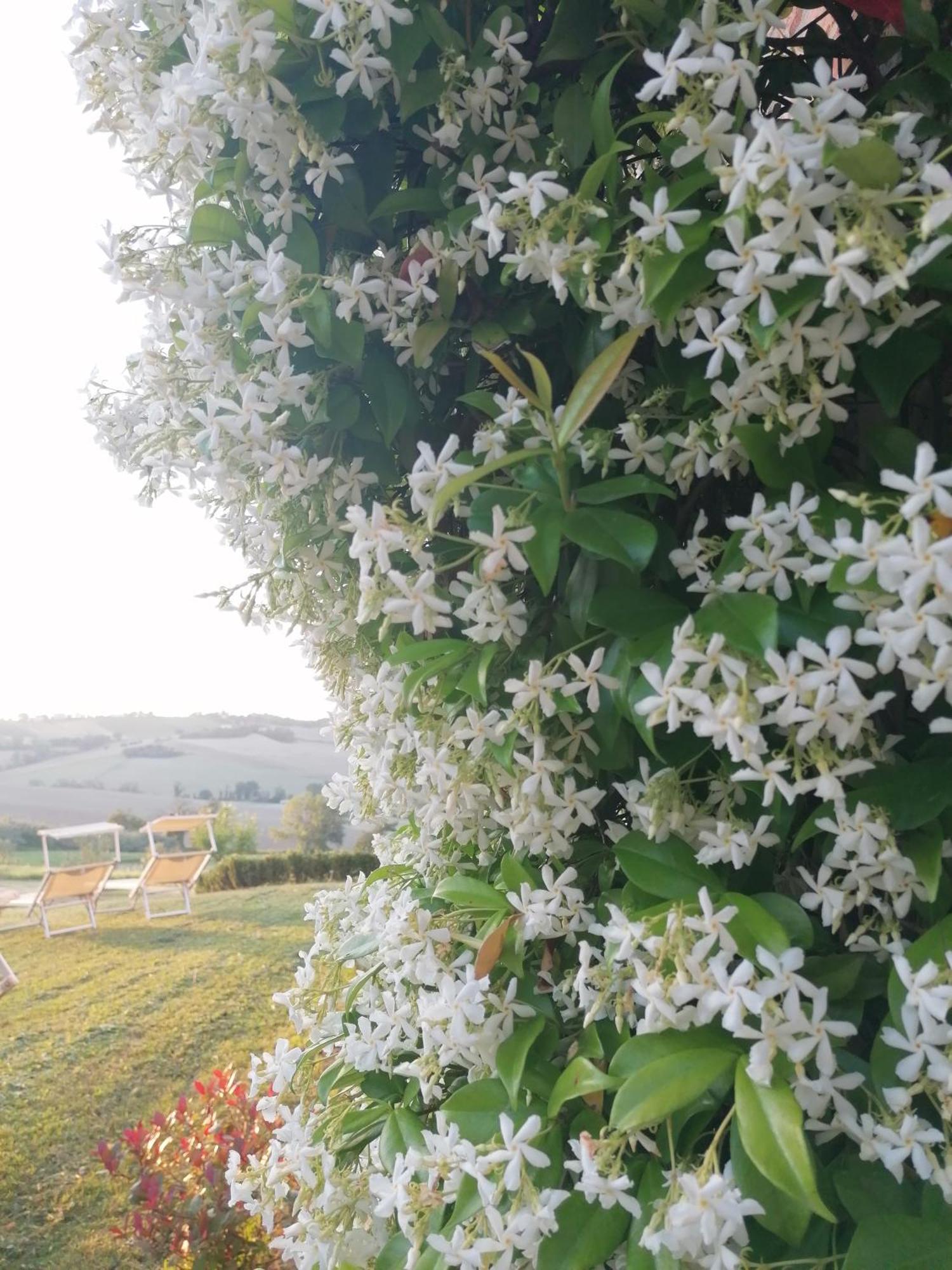 Belvedere Ostrense Il Giardino Nella Valle מראה חיצוני תמונה