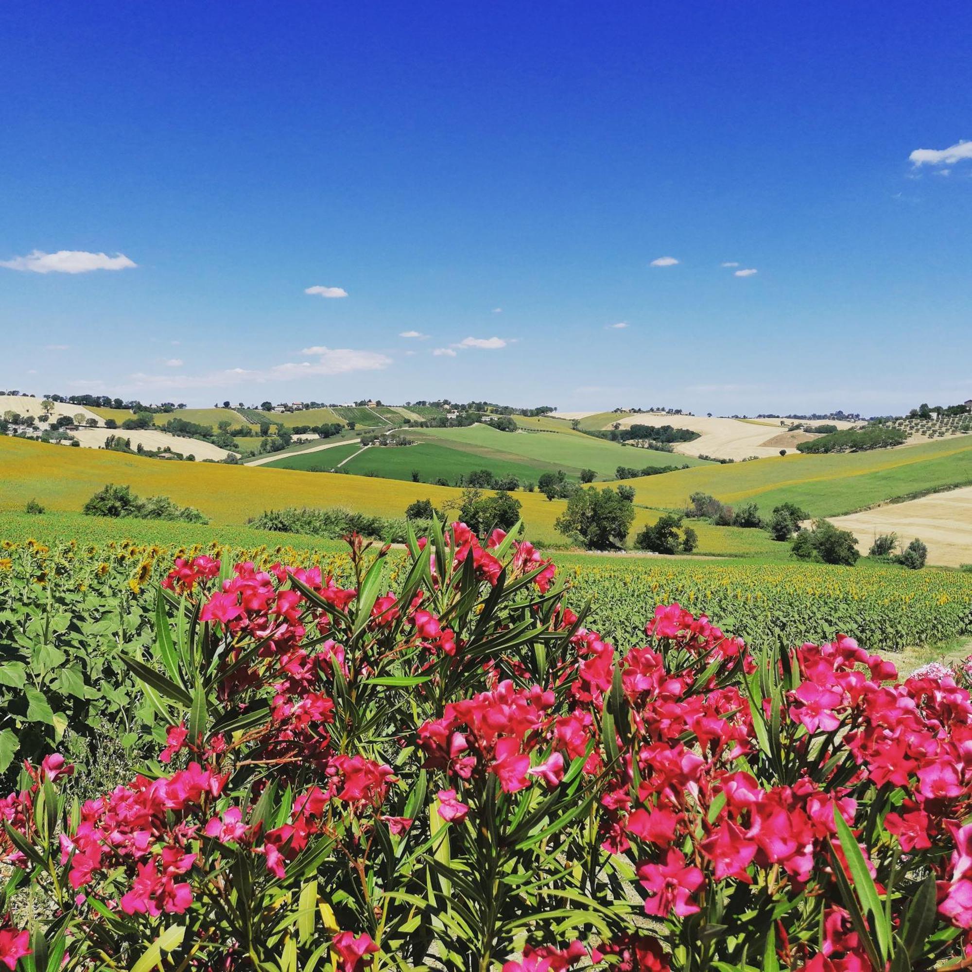 Belvedere Ostrense Il Giardino Nella Valle מראה חיצוני תמונה