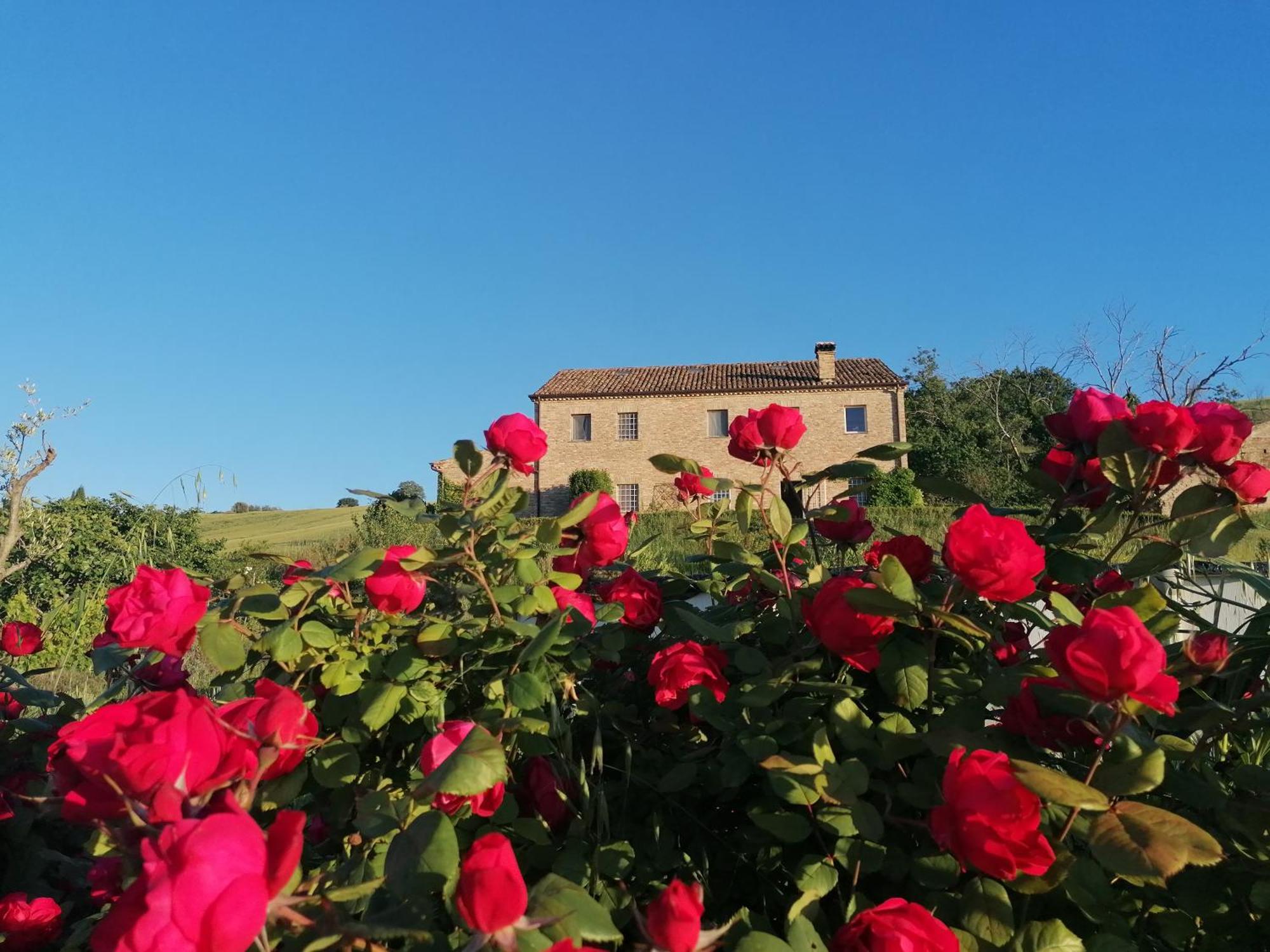 Belvedere Ostrense Il Giardino Nella Valle מראה חיצוני תמונה