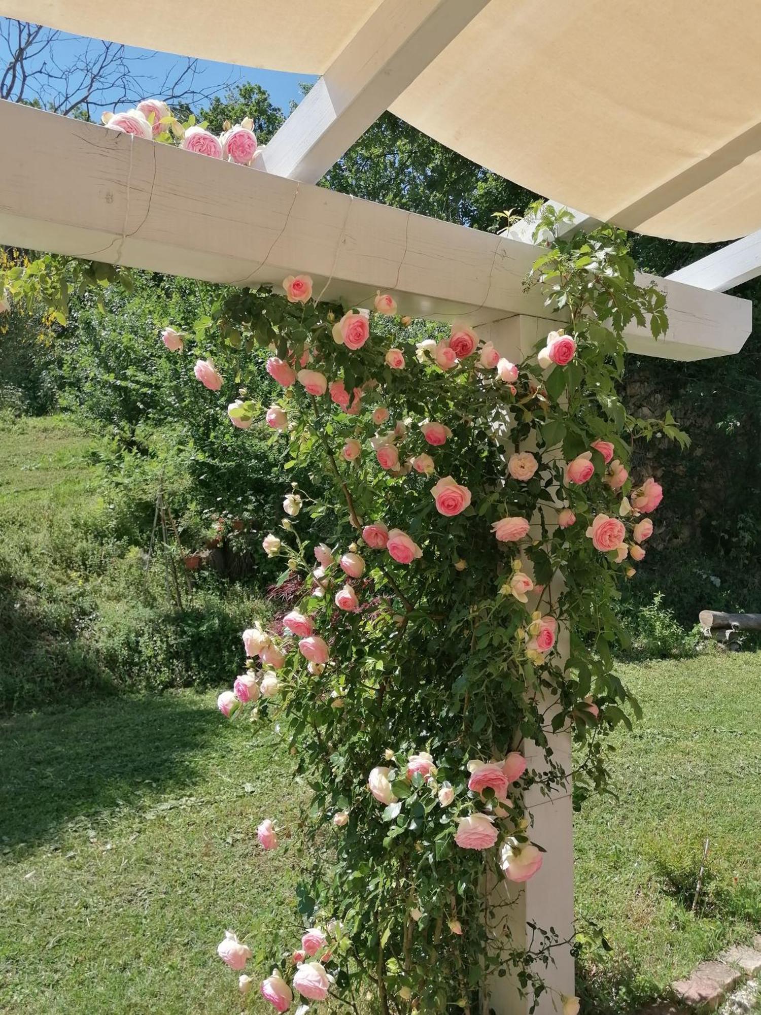 Belvedere Ostrense Il Giardino Nella Valle מראה חיצוני תמונה